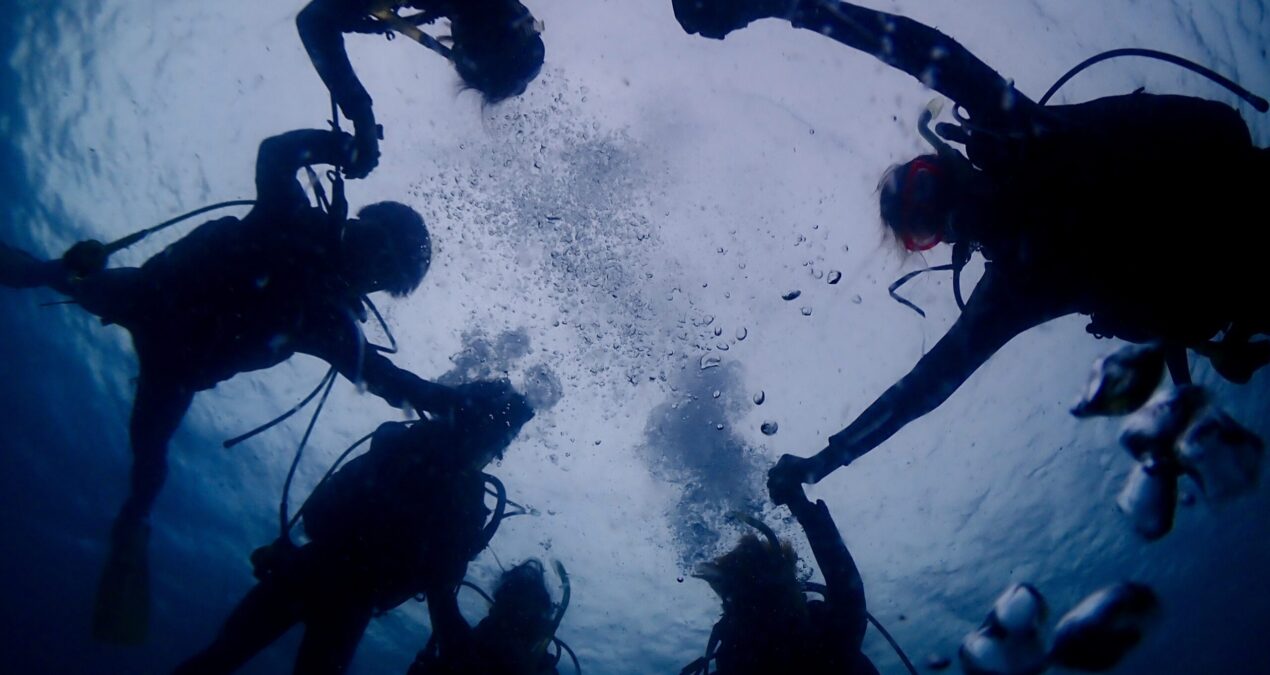 海のワクワク感を全身で感じる冒険へ！