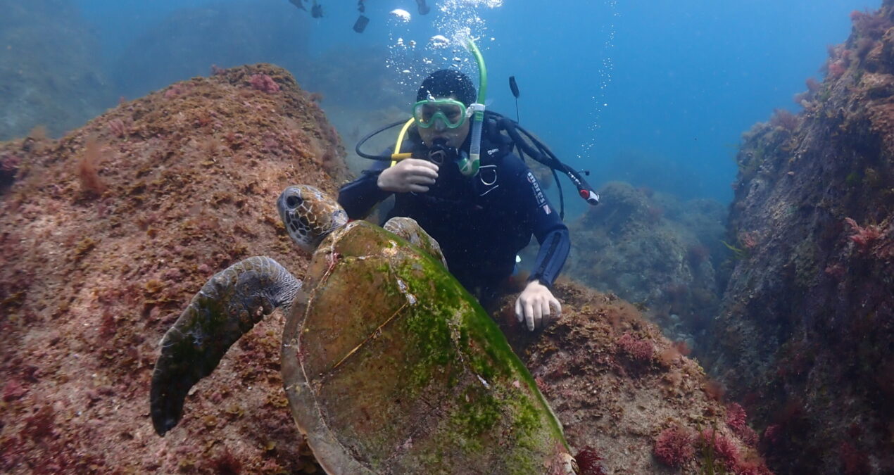 「海の世界への異なる旅」