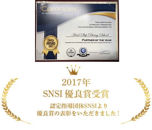 2017年 SNSI優良賞受賞